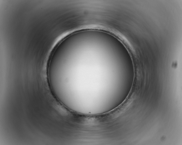 X0000103231230200808281423