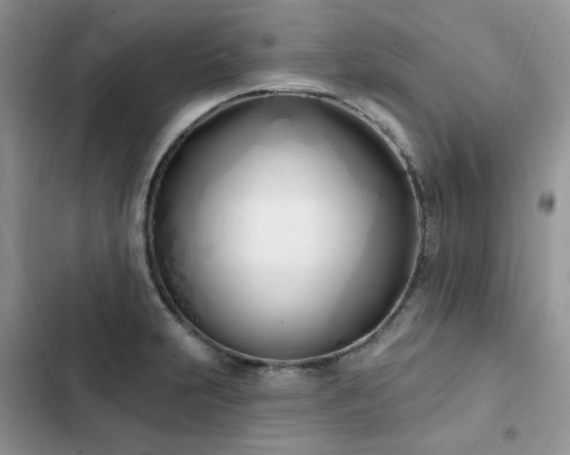 X0000103231231200808281423