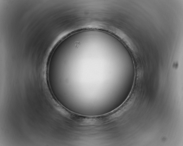 X0000103231232200808281423