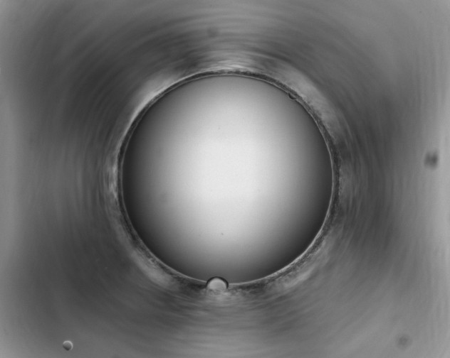 X0000103231234200808281423