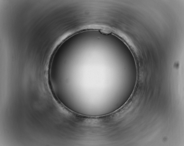X0000103231237200808281423