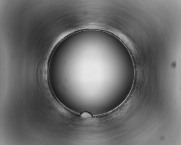 X0000103231238200808281423