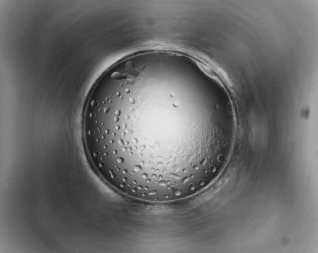 X0000103231239200808281423