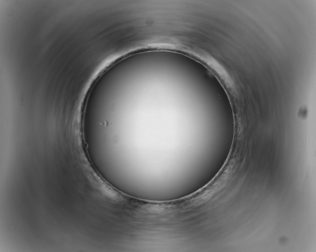 X0000103231240200808281423