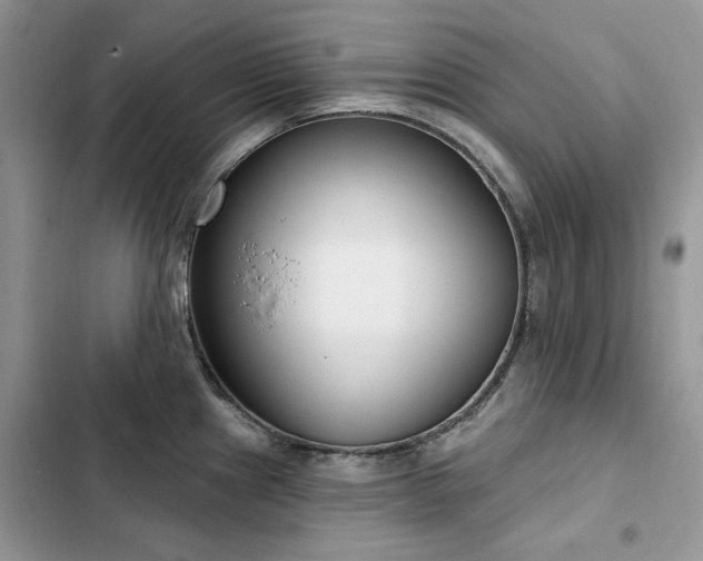 X0000103231241200808281423