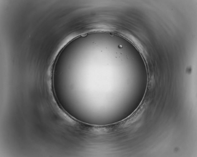 X0000103231243200808281423