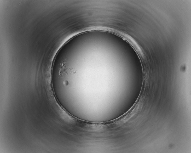 X0000103231244200808281423