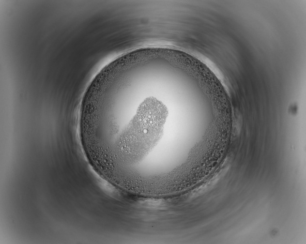 X0000103231245200808281423