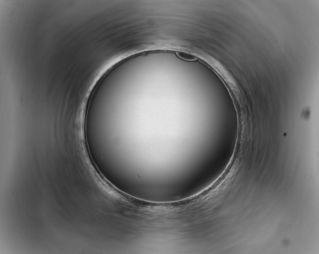 X0000103231246200808281423