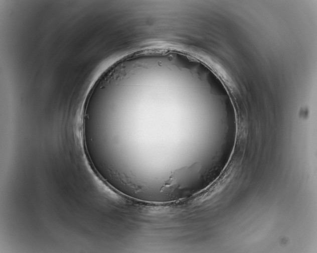 X0000103231247200808281423