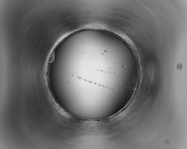 X0000103231248200808281423