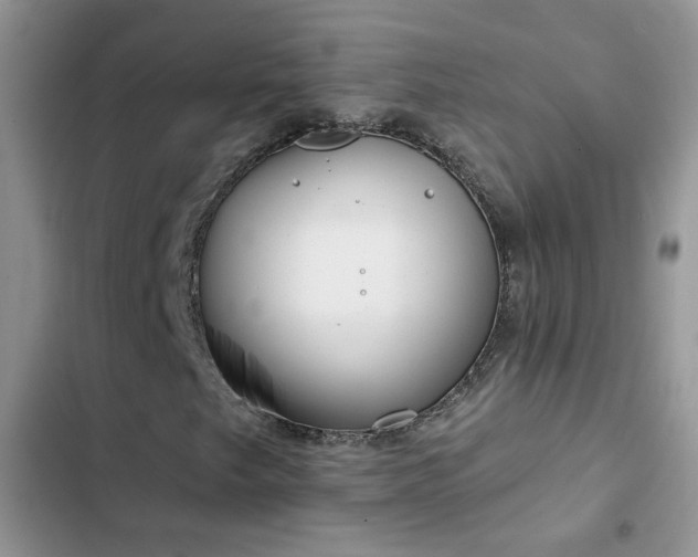 X0000103231249200808281423
