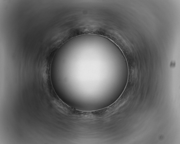 X0000103231250200808281423
