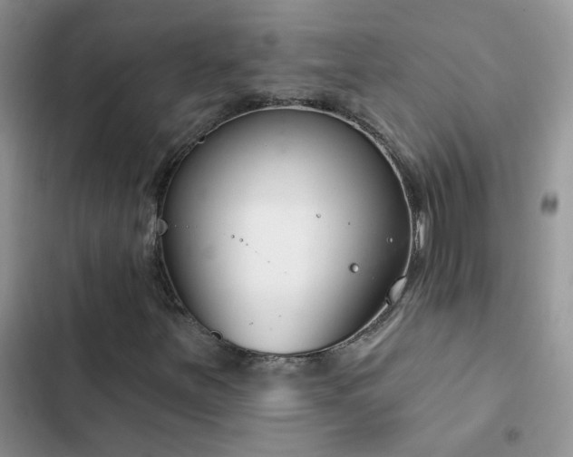 X0000103231251200808281423