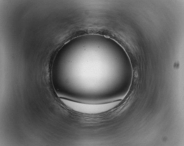 X0000103231252200808281423