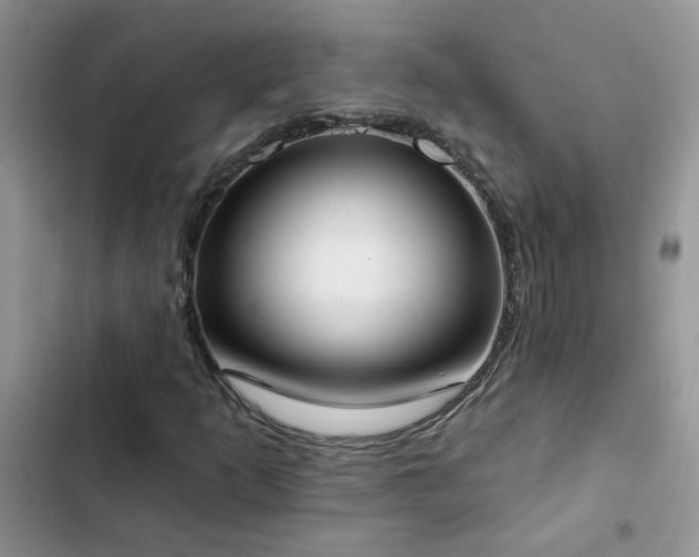 X0000103231253200808281423