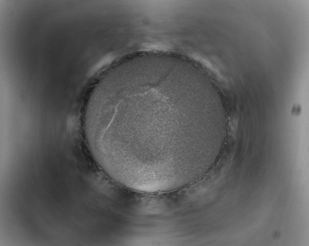 X0000103231254200808281423