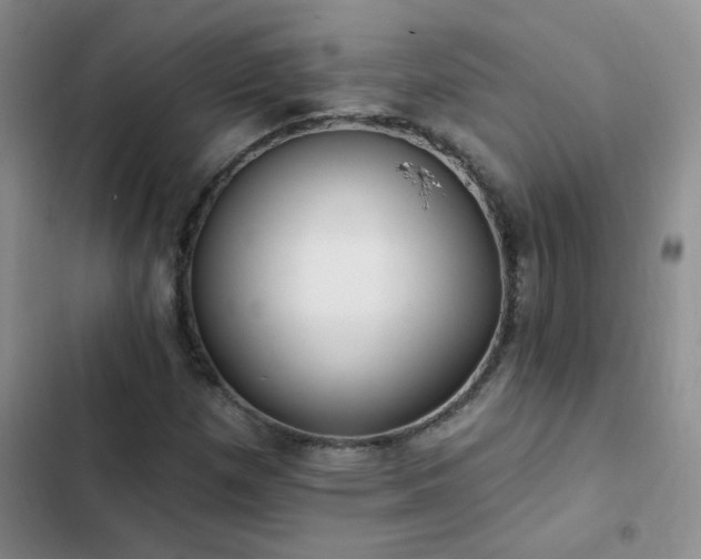 X0000103231257200808281422