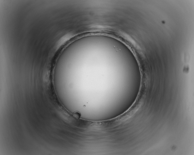 X0000103231259200808281422