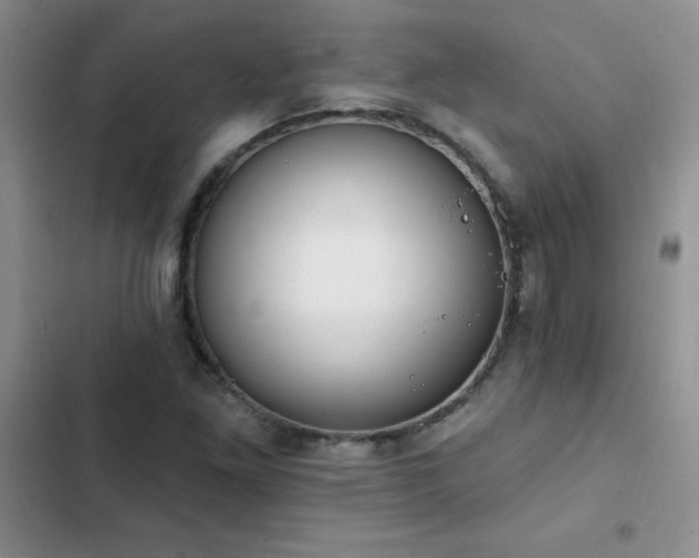 X0000103231261200808281422