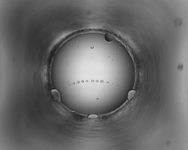 X0000103231262200808281422