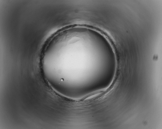 X0000103231263200808281422