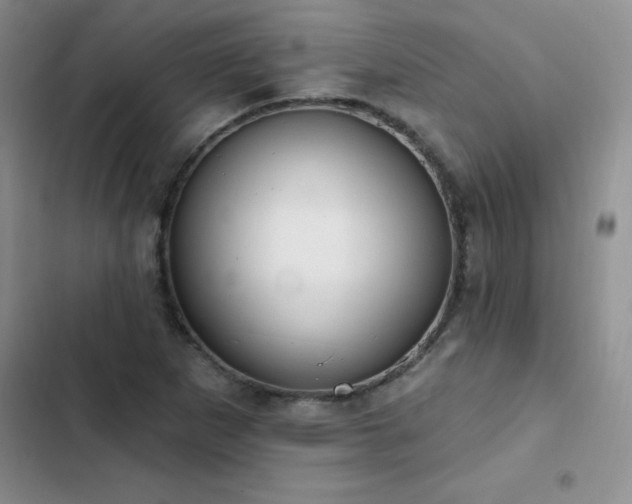 X0000103231265200808281422
