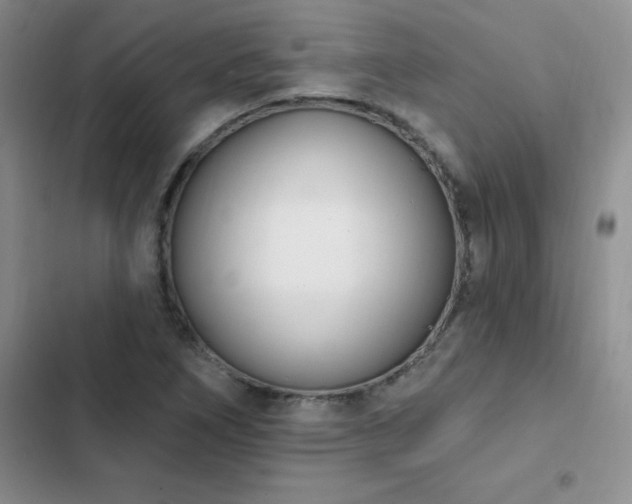 X0000103231266200808281422