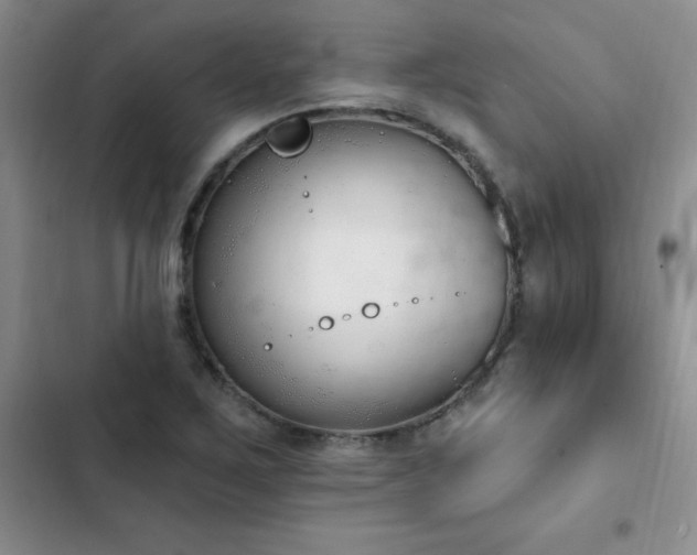 X0000103231267200808281422