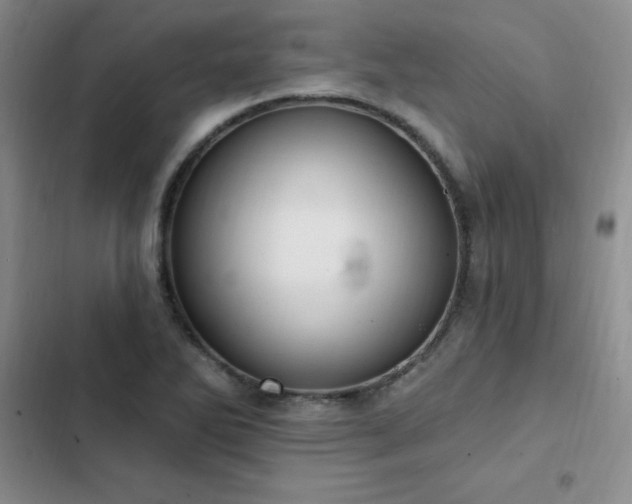 X0000103231270200808281422