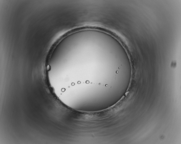 X0000103231271200808281422