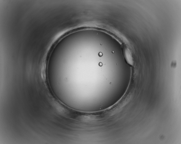 X0000103231272200808281422