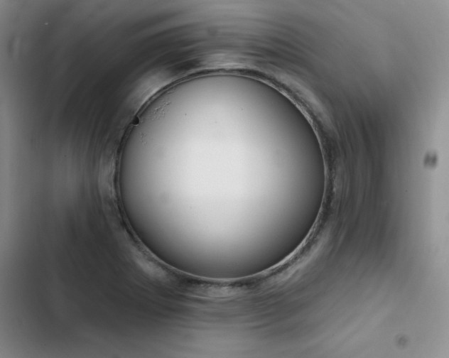 X0000103231273200808281422