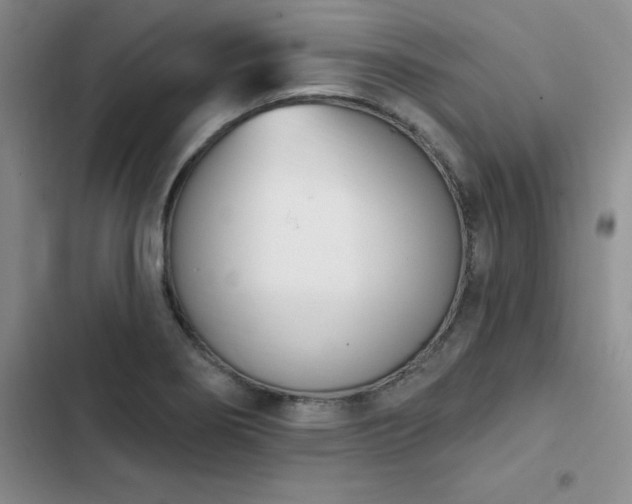 X0000103231274200808281422
