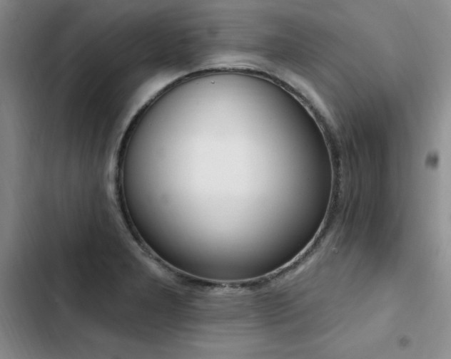 X0000103231277200808281422