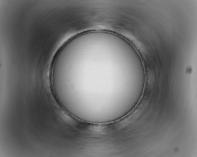 X0000103231278200808281422