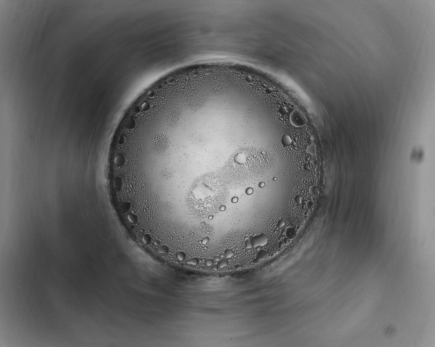 X0000103231279200808281422
