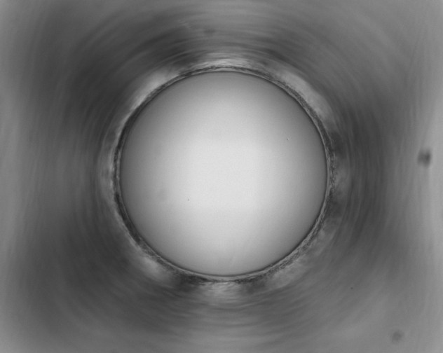 X0000103231282200808281422