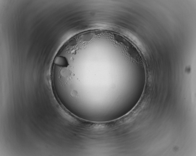 X0000103231283200808281422