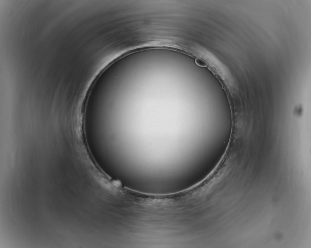X0000103231284200808281422