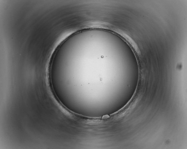 X0000103231285200808281422