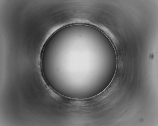 X0000103231287200808281422