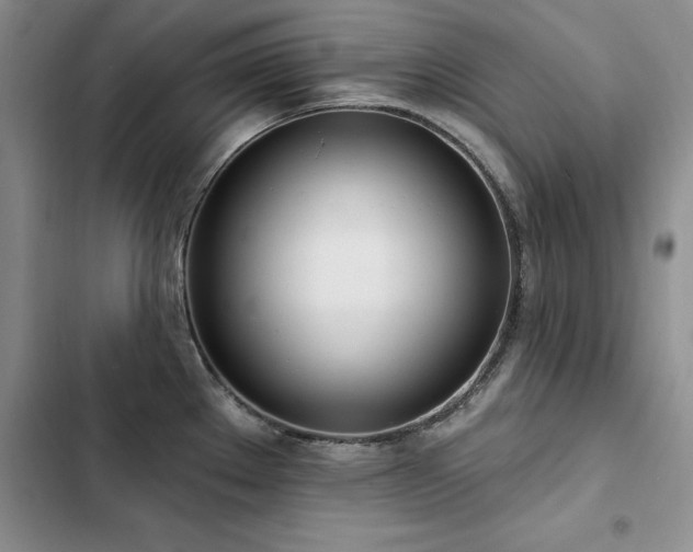 X0000103231289200808281422
