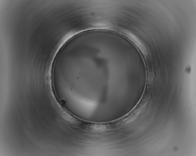 X0000103231291200808281422