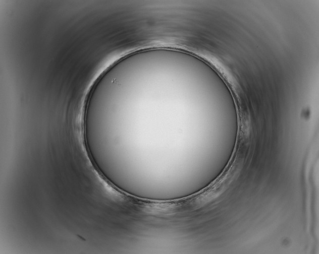 X0000103231294200808281422