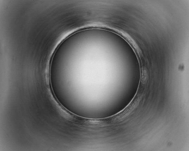 X0000103231295200808281422
