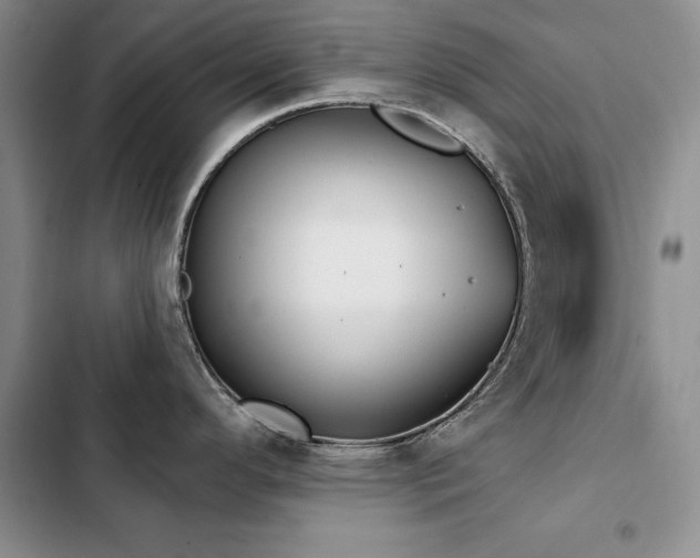 X0000103231296200808281422