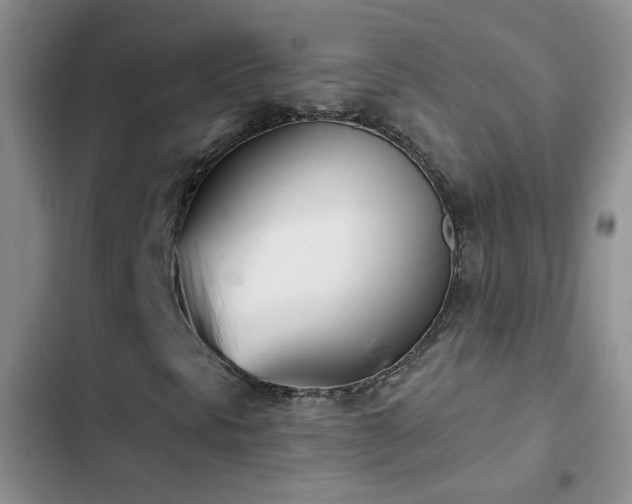 X0000103231297200808281421