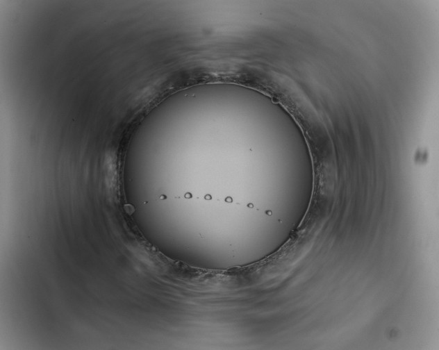 X0000103231298200808281421