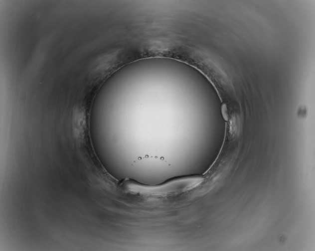 X0000103231299200808281421